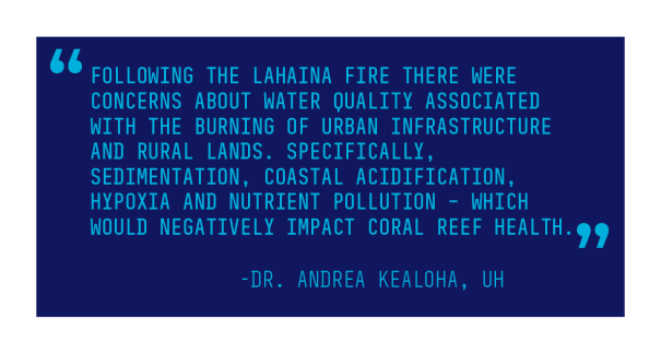 Quote from Dr. Andrea Kealoha, Assistant Professor